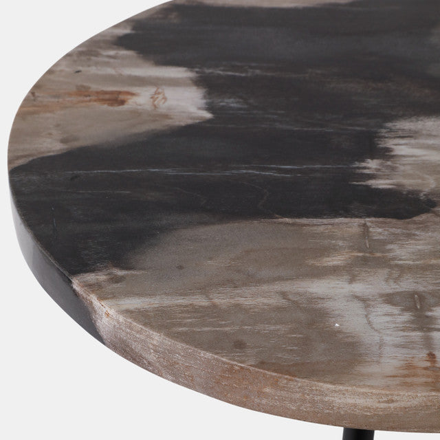 Petrified Wood Accent Table