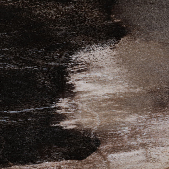 Petrified Wood Accent Table