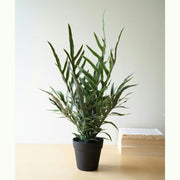 Artificial Fern