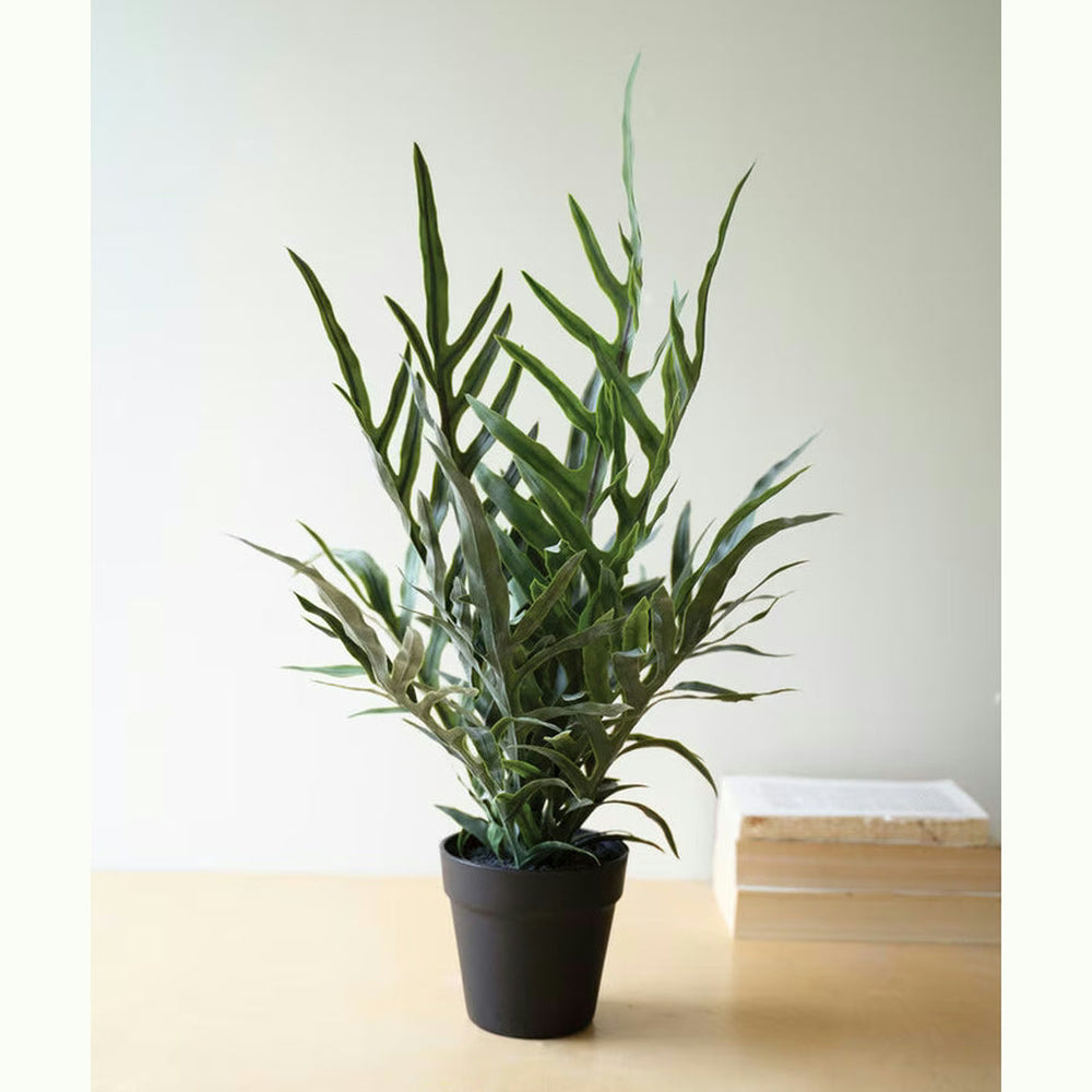 Artificial Fern