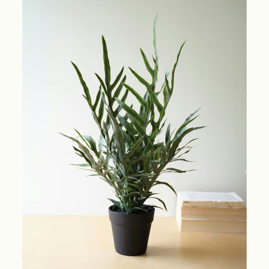 Artificial Fern