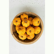 Bag of 15 Orange Dried Faux Pumpkins