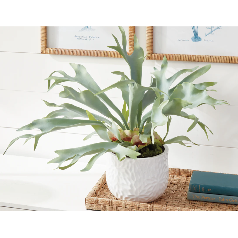 21" Faux Staghorn Fern Drop-In