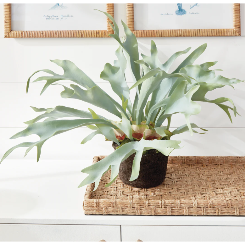 21" Faux Staghorn Fern Drop-In