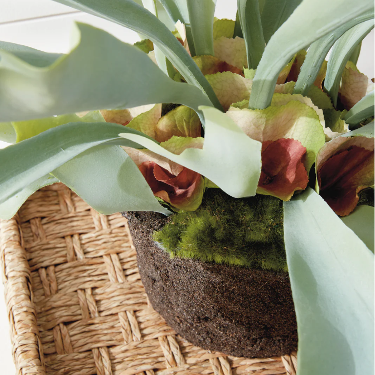 21" Faux Staghorn Fern Drop-In