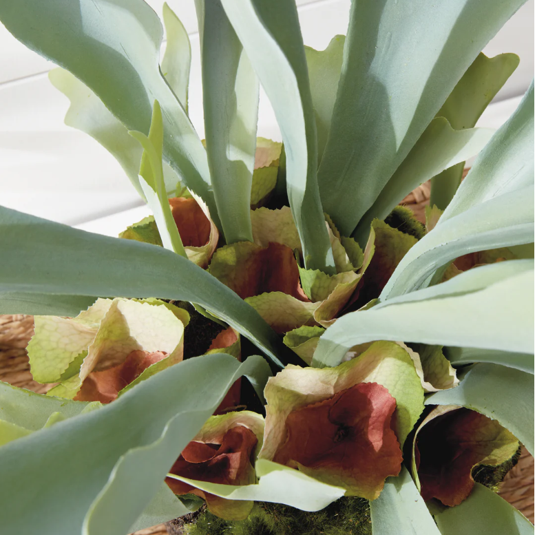21" Faux Staghorn Fern Drop-In