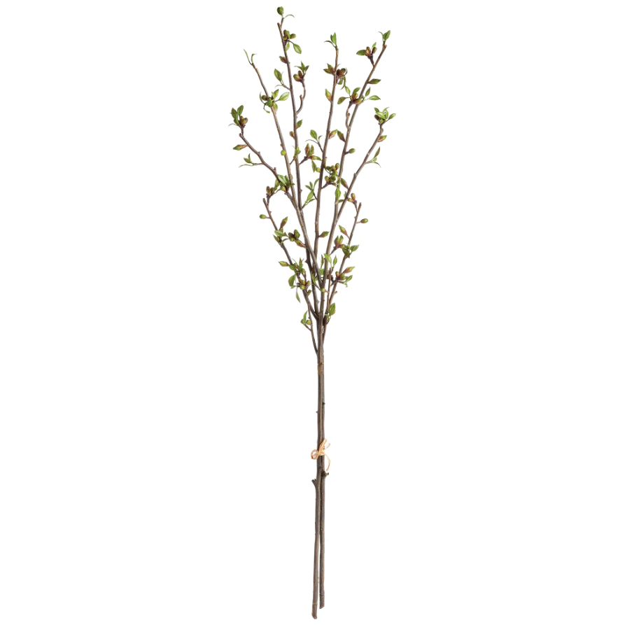 42" Budding Branches Bundle Of Two