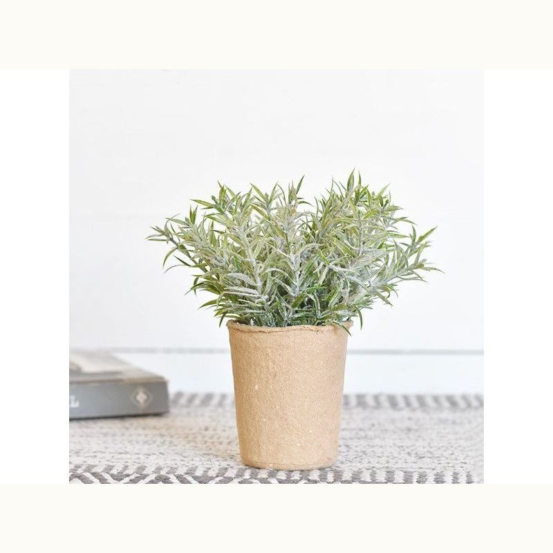 Dusty Greens in Paper Pot - Mix Home Mercantile