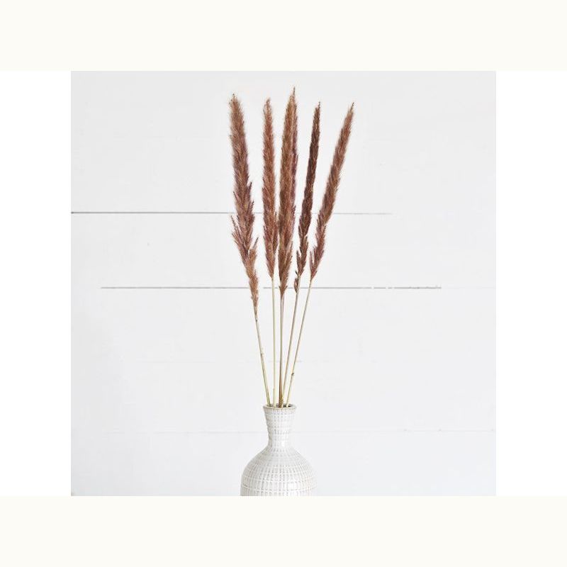 Pampas Flowers - Mix Home Mercantile