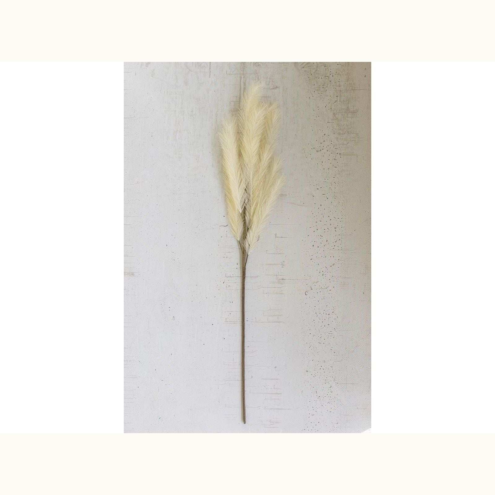 Pampas Stem - Mix Home Mercantile