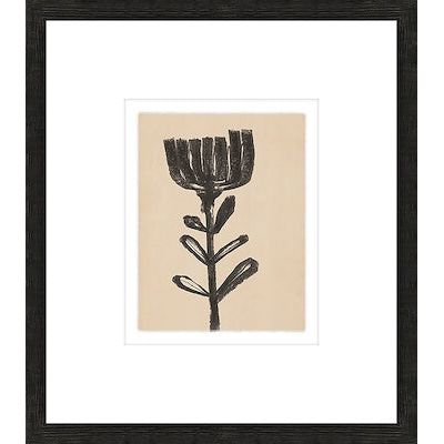 14" x 16" Floriculture