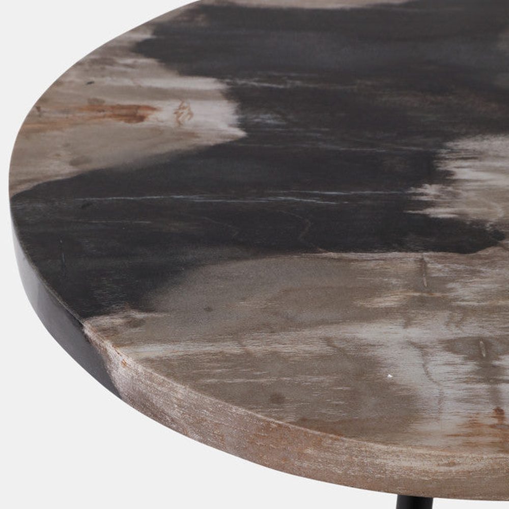 Petrified Wood Accent Table