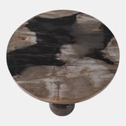 Petrified Wood Accent Table