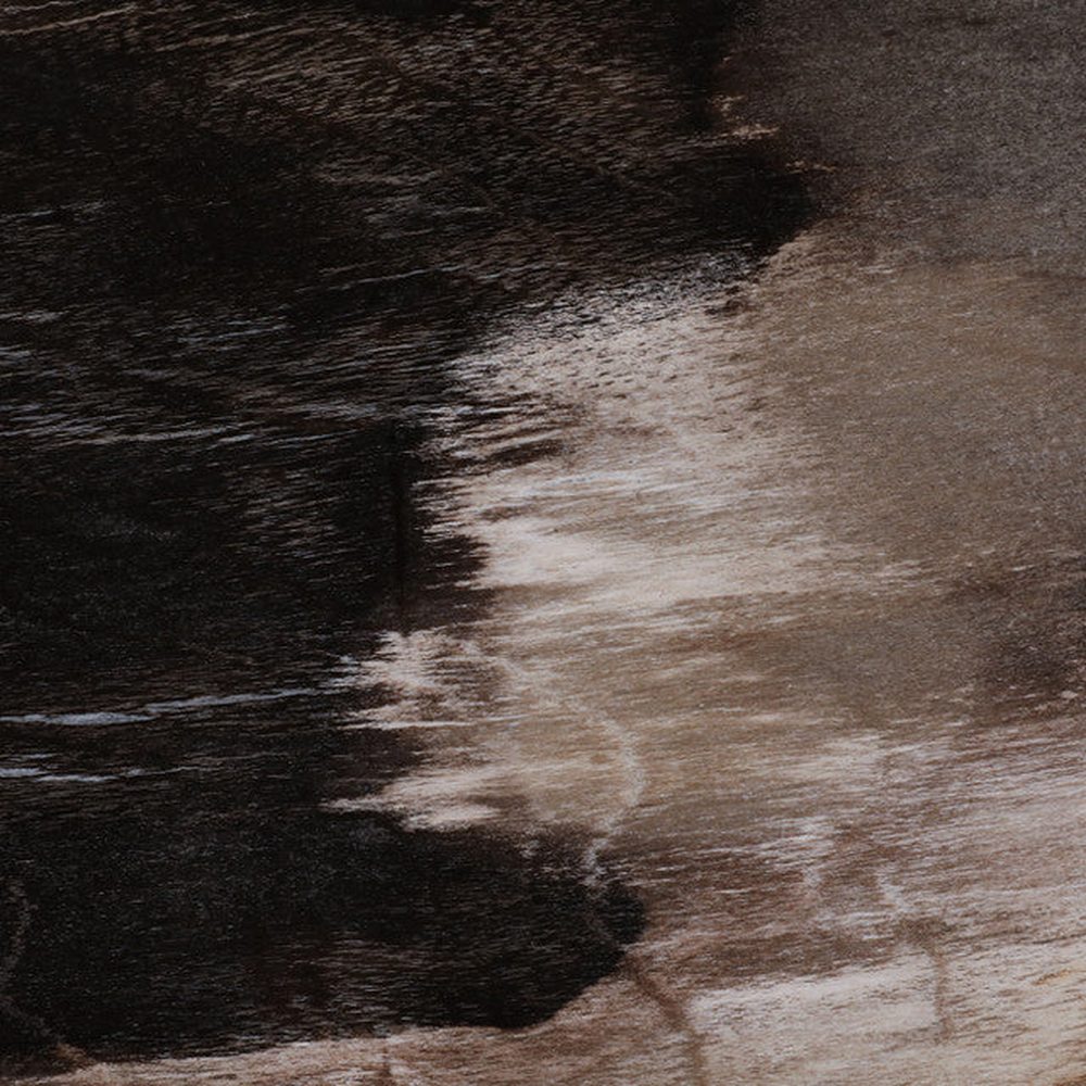 Petrified Wood Accent Table