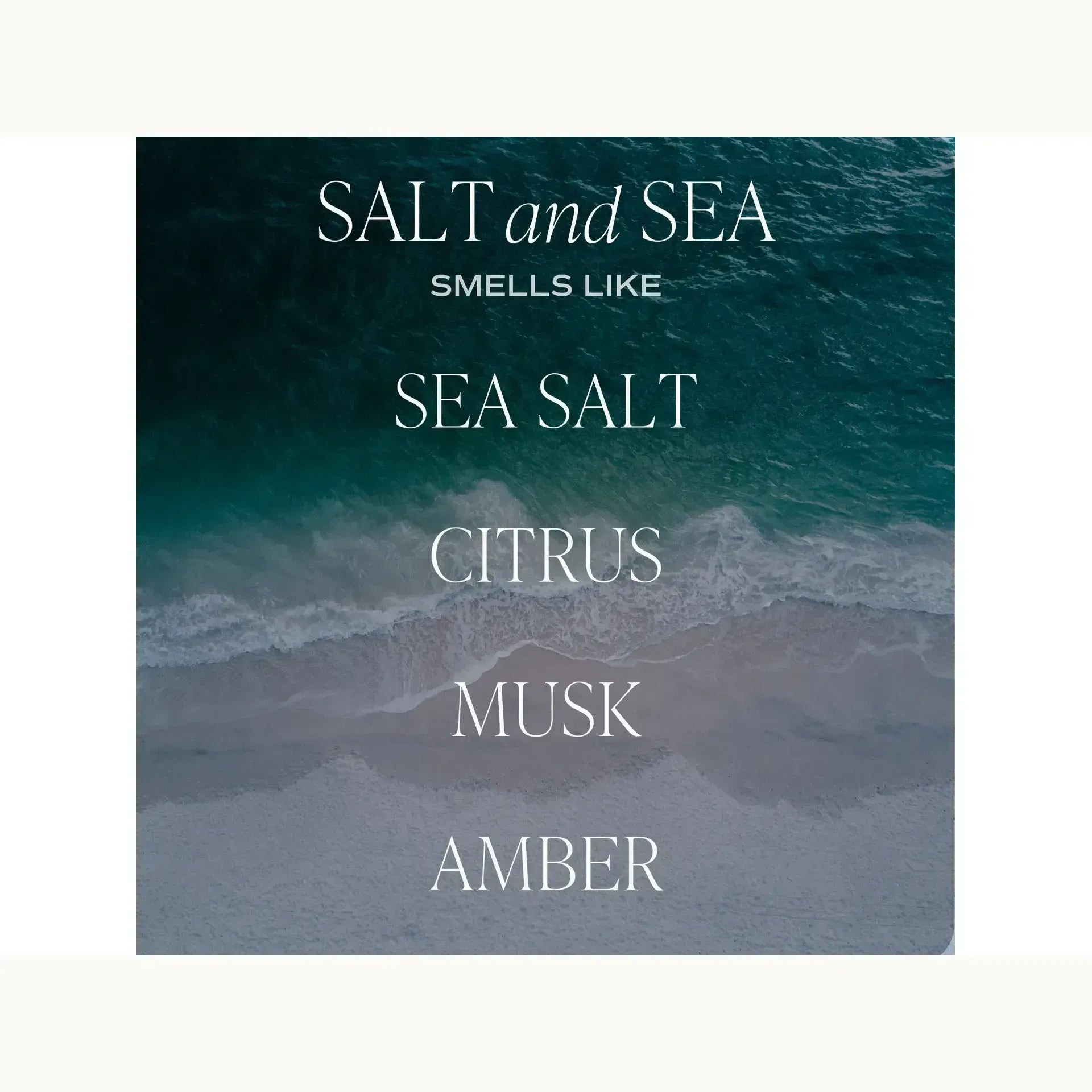 Salt and Sea Reed Diffuser