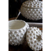 White Ceramic Canisters