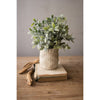 Artificial Sage Plant With Pot