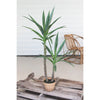 Artificial Heneken Plant