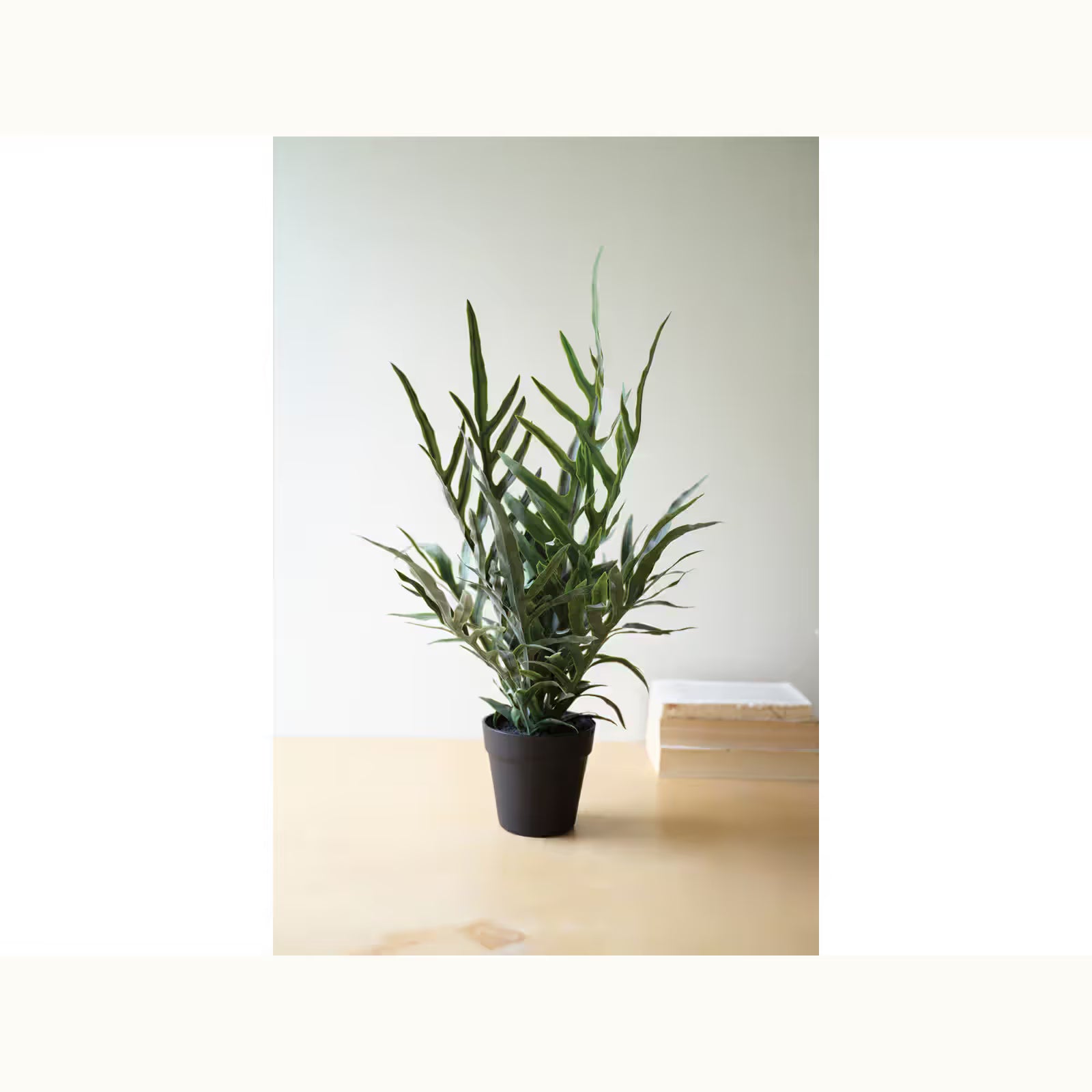 Artificial Fern