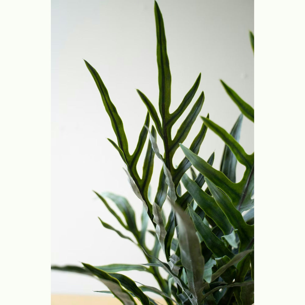 Artificial Fern