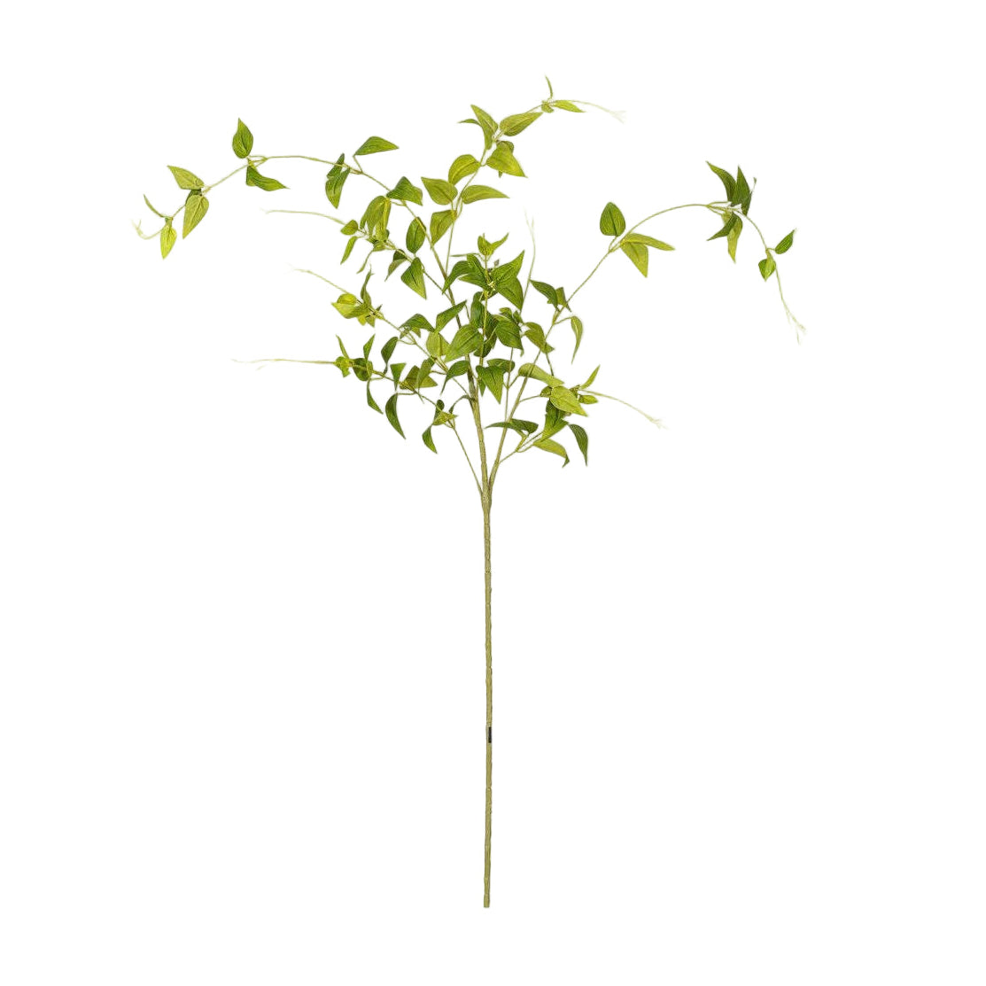 43" Green Clematis Leaves Spray