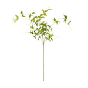 43" Green Clematis Leaves Spray