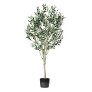 6" Green Potted Olive Tree