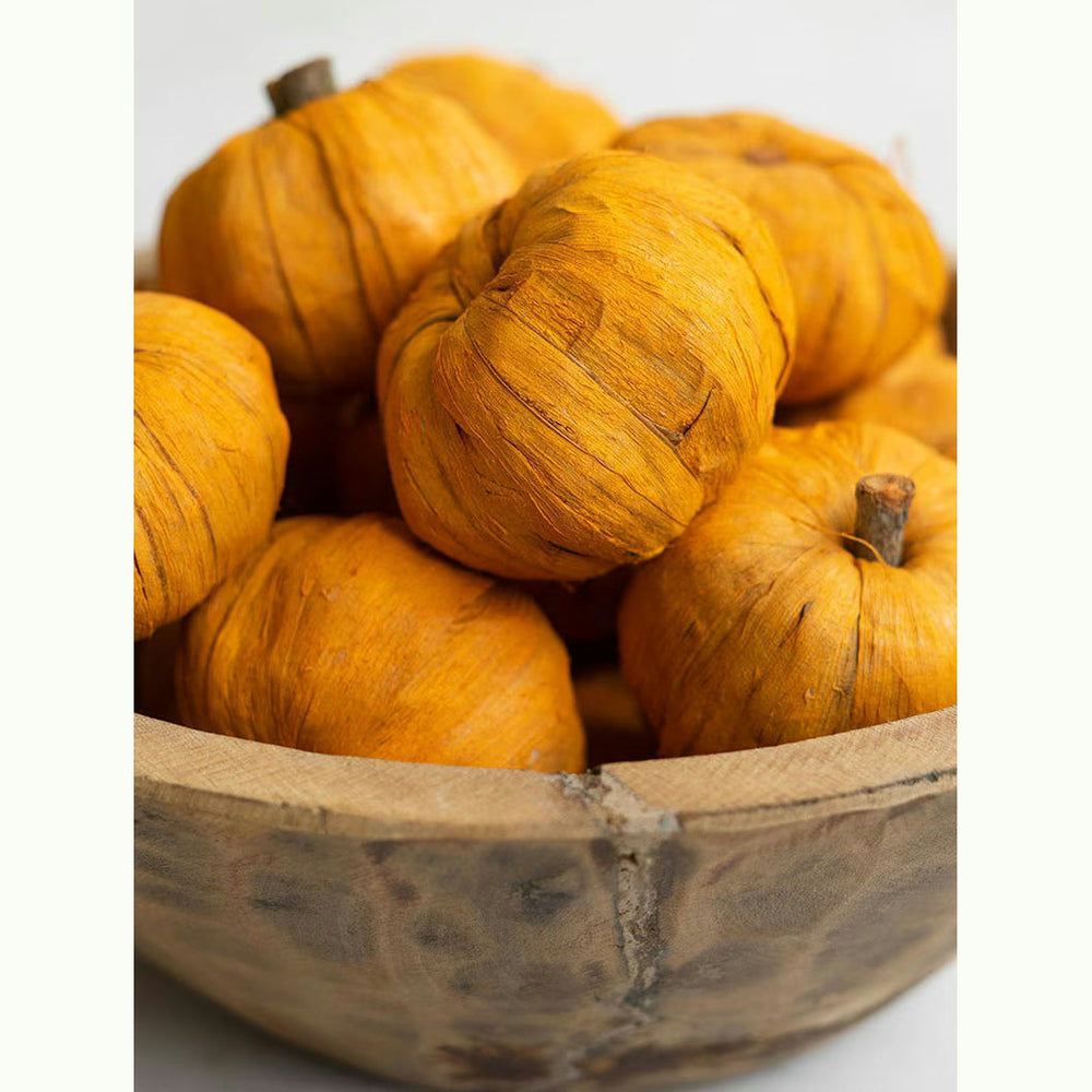 Bag of 15 Orange Dried Faux Pumpkins