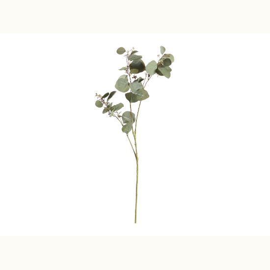 43" Silver Dollar Eucalyptus