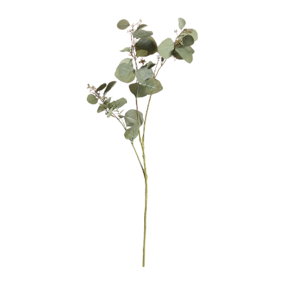 43" Silver Dollar Eucalyptus