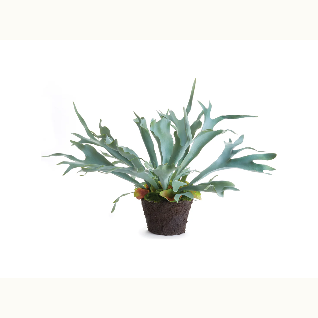 21" Faux Staghorn Fern Drop-In