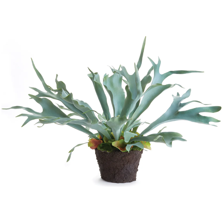 21" Faux Staghorn Fern Drop-In