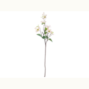 38" Dogwood Branch
