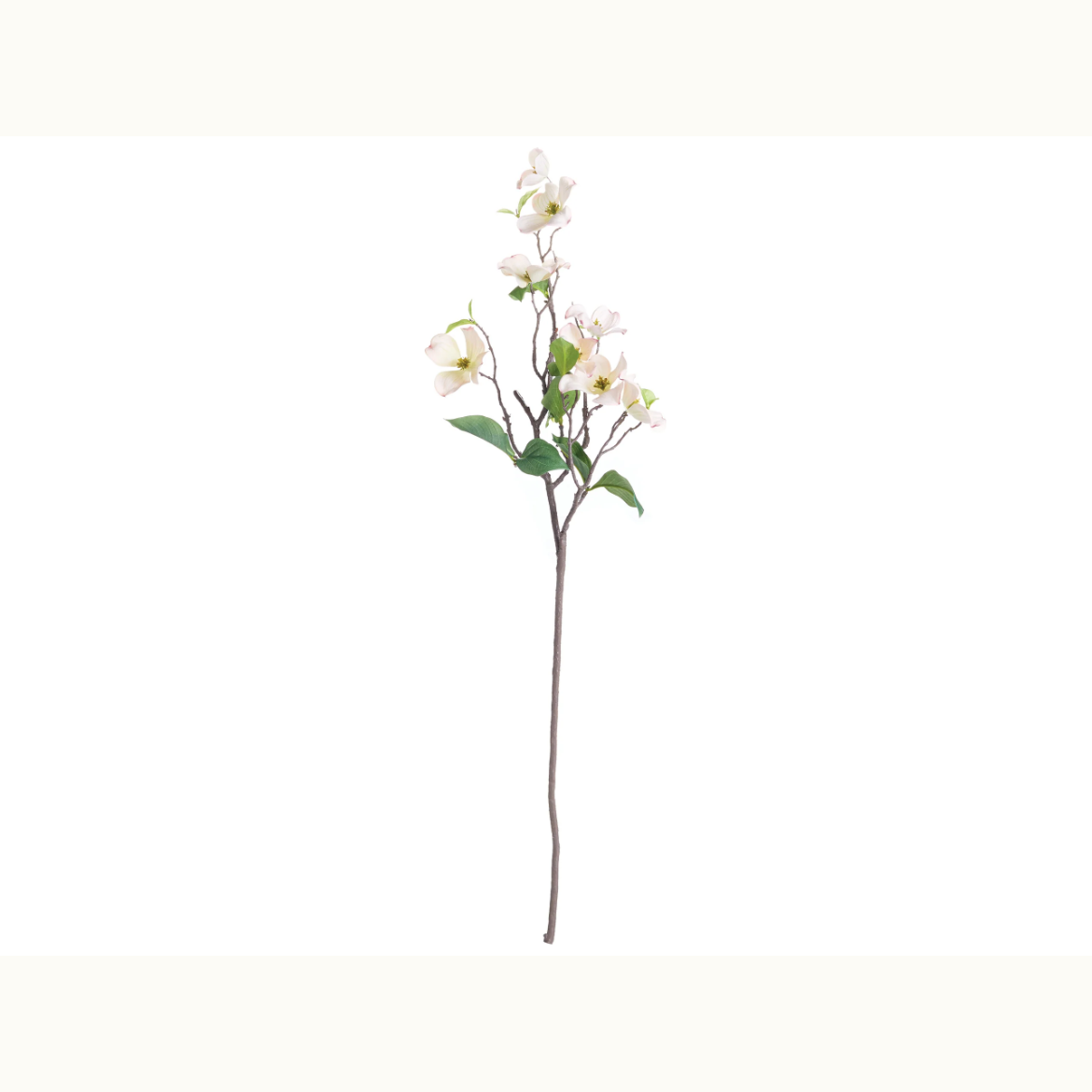 38" Dogwood Branch