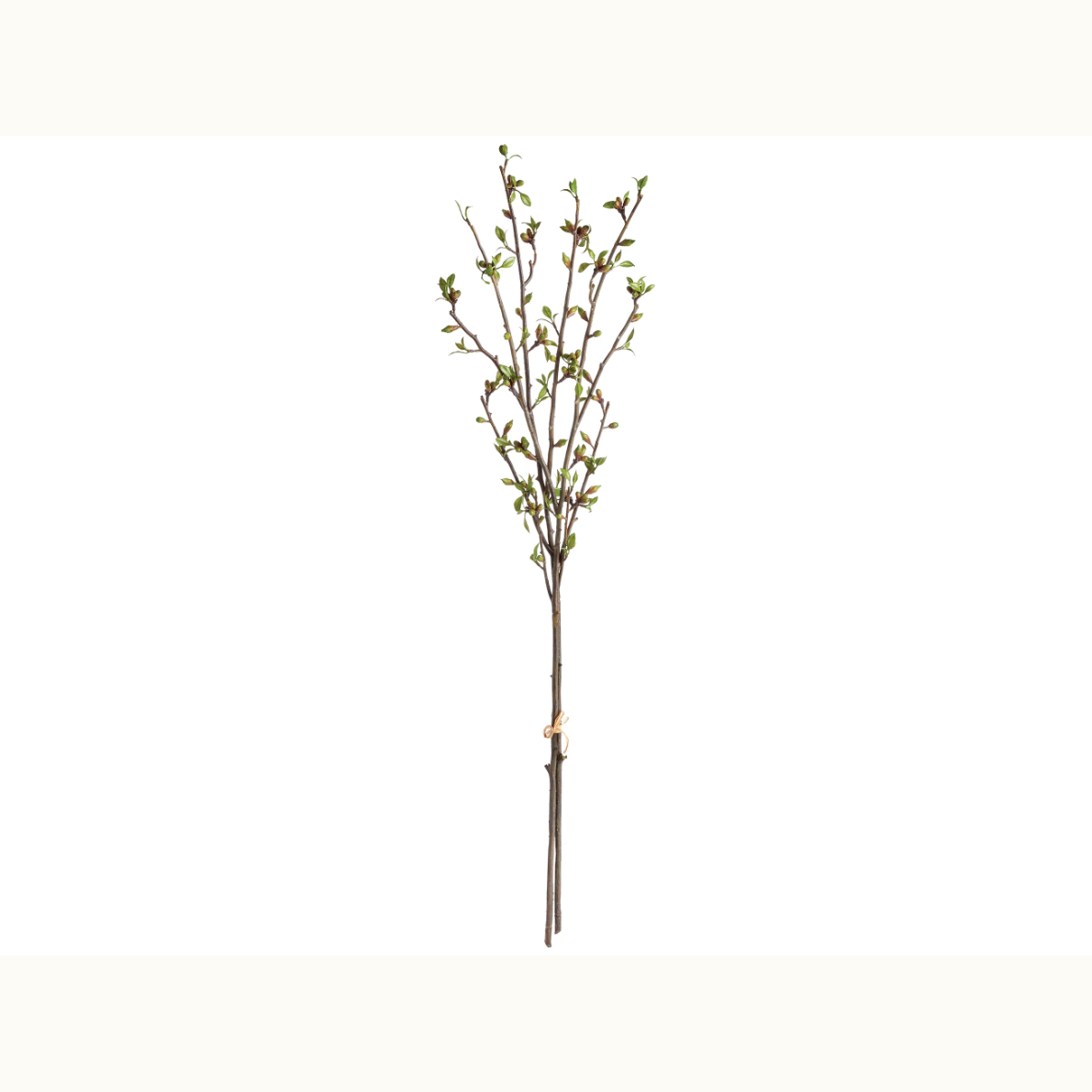 42" Budding Branches Bundle Of Two