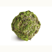 6.5" Mossy Lichen Orb