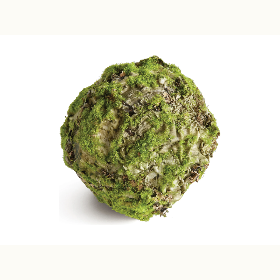 6.5" Mossy Lichen Orb