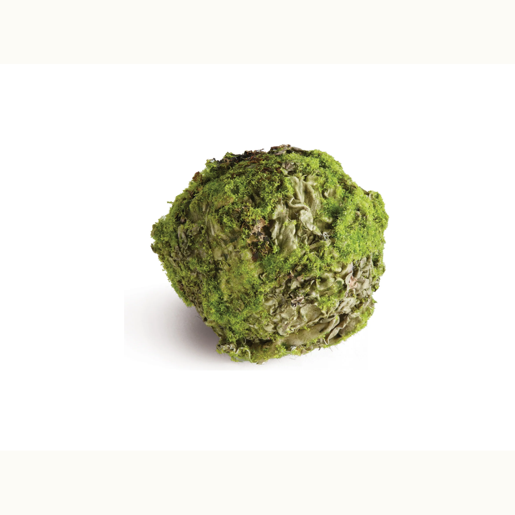 4" Mossy Lichen Orb