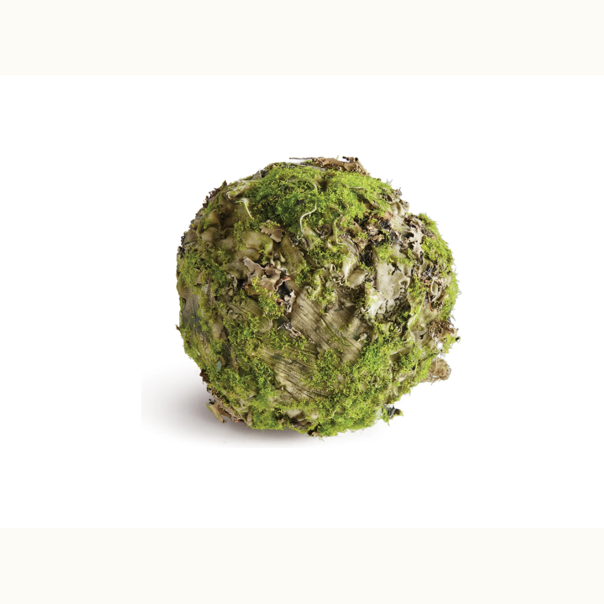 5" Mossy Lichen Orb