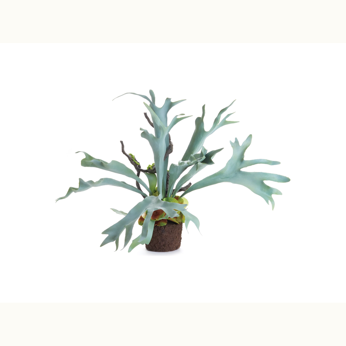 22" Staghorn Fern Drop-In