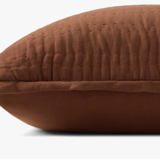 22x22 Brown Down Pillow