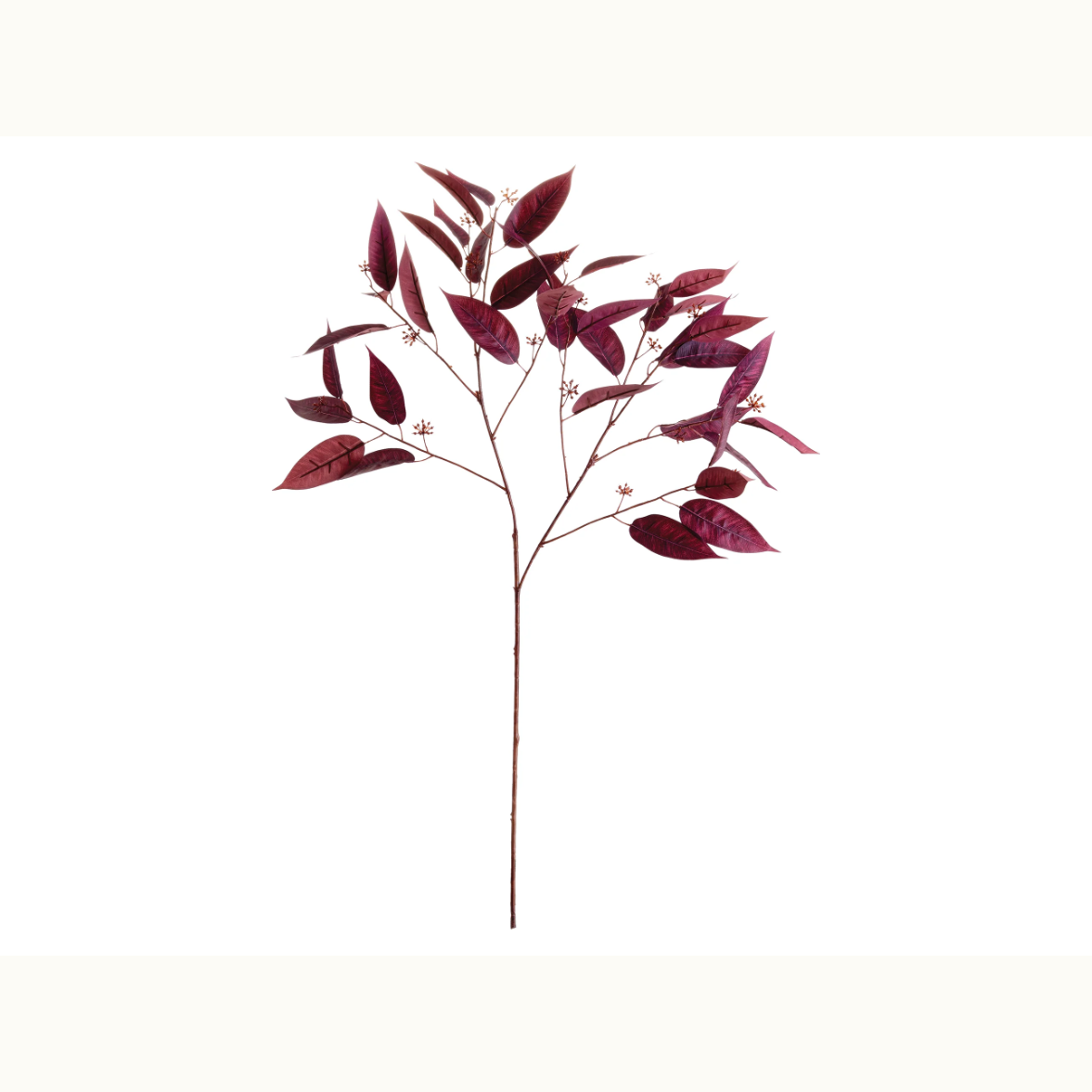 36.5" Eucalyptus Seed Branch