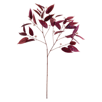 36.5" Eucalyptus Seed Branch