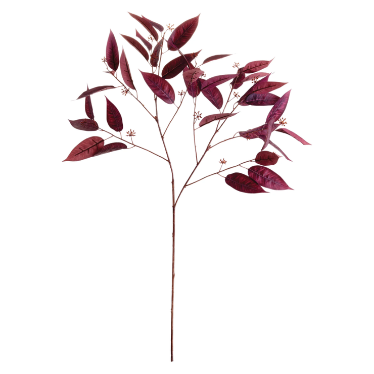 36.5" Eucalyptus Seed Branch