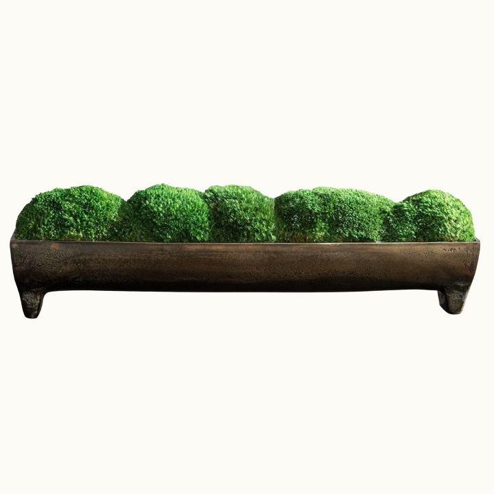 Small Moss Centerpiece