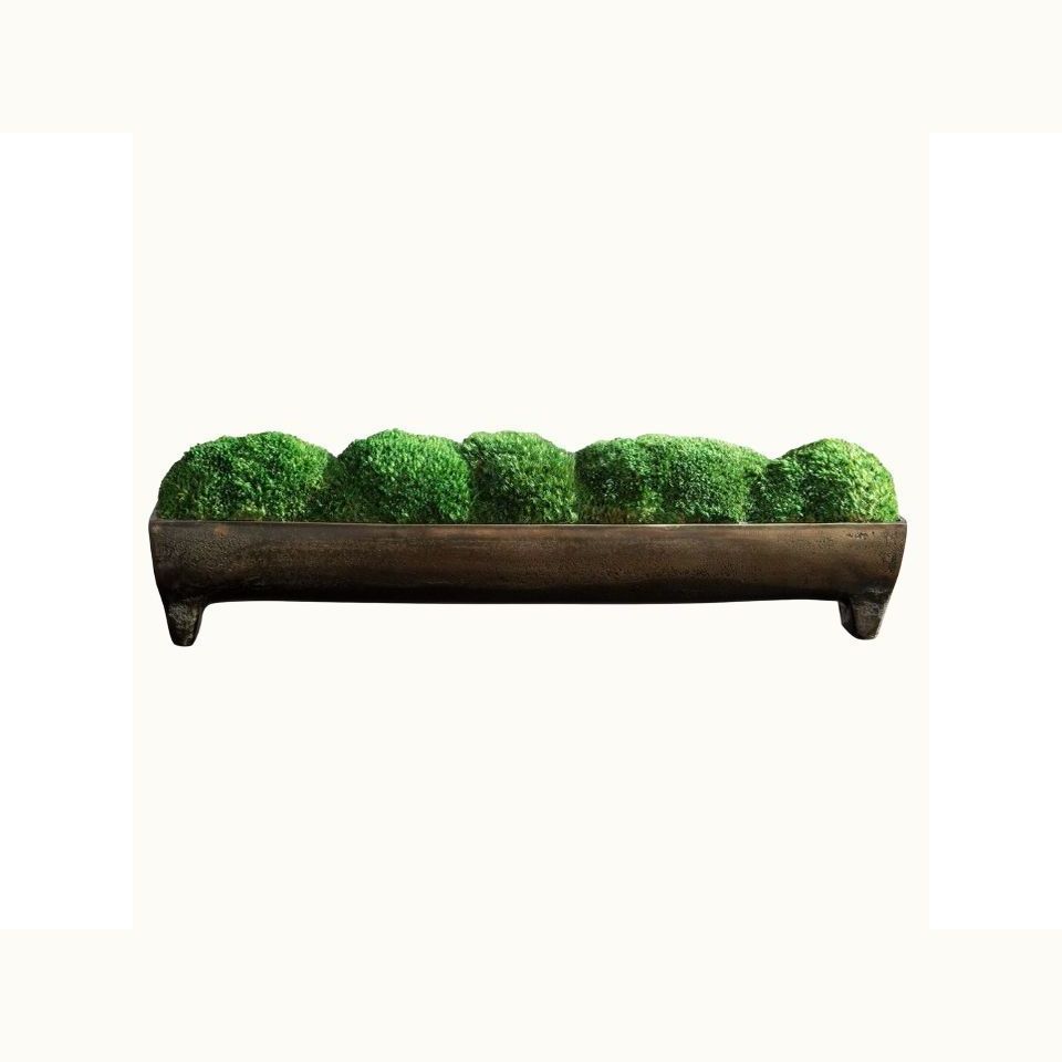Small Moss Centerpiece