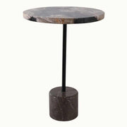 Petrified Wood Accent Table