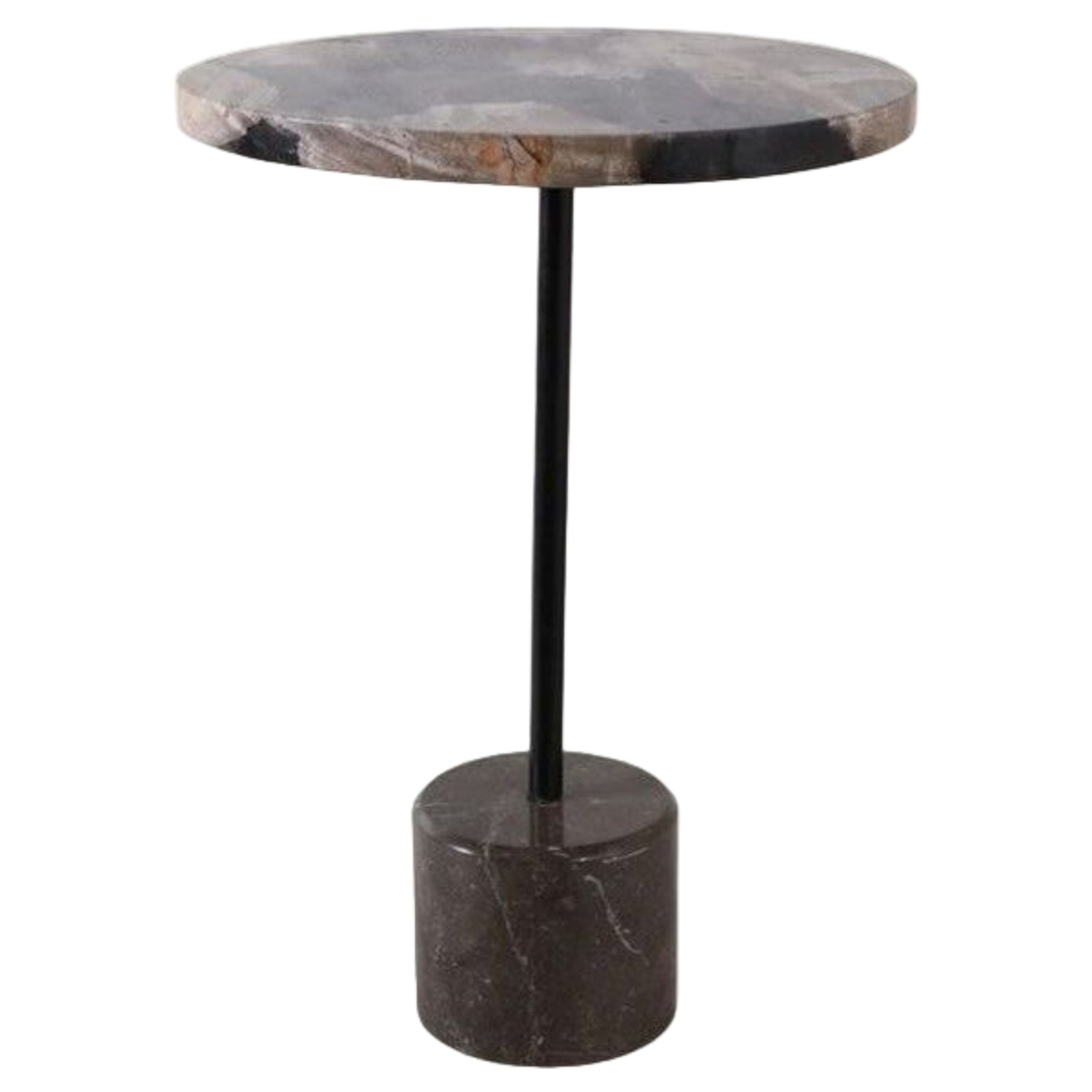 Petrified Wood Accent Table