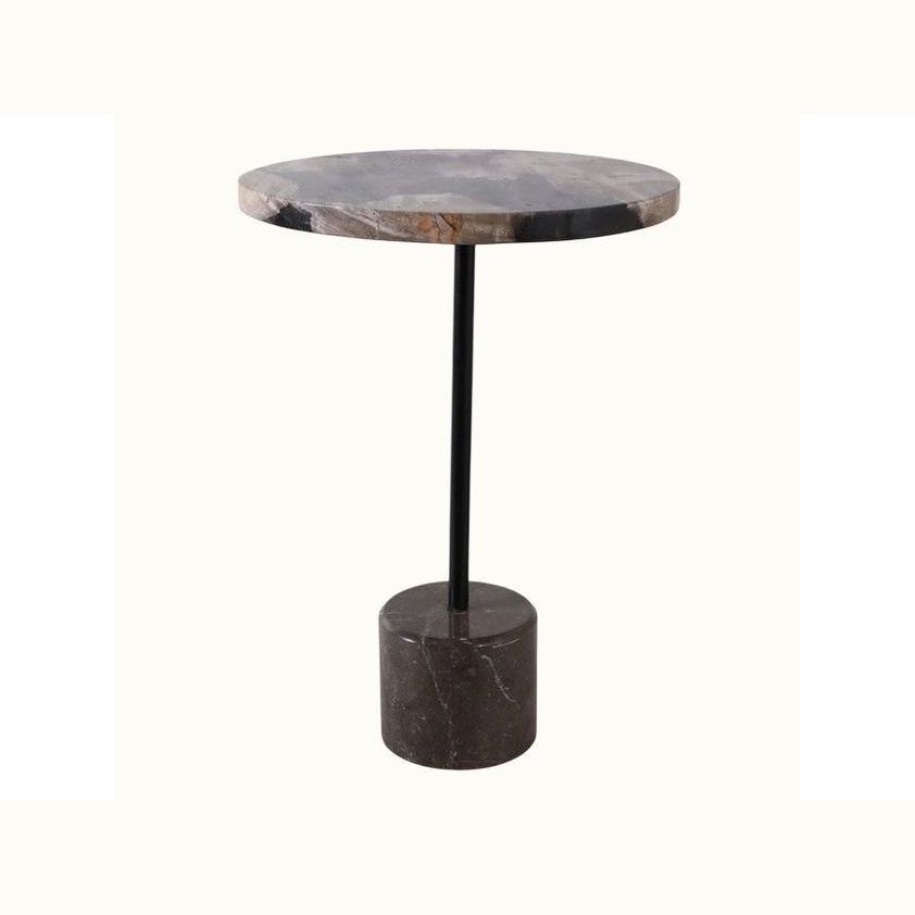 Petrified Wood Accent Table
