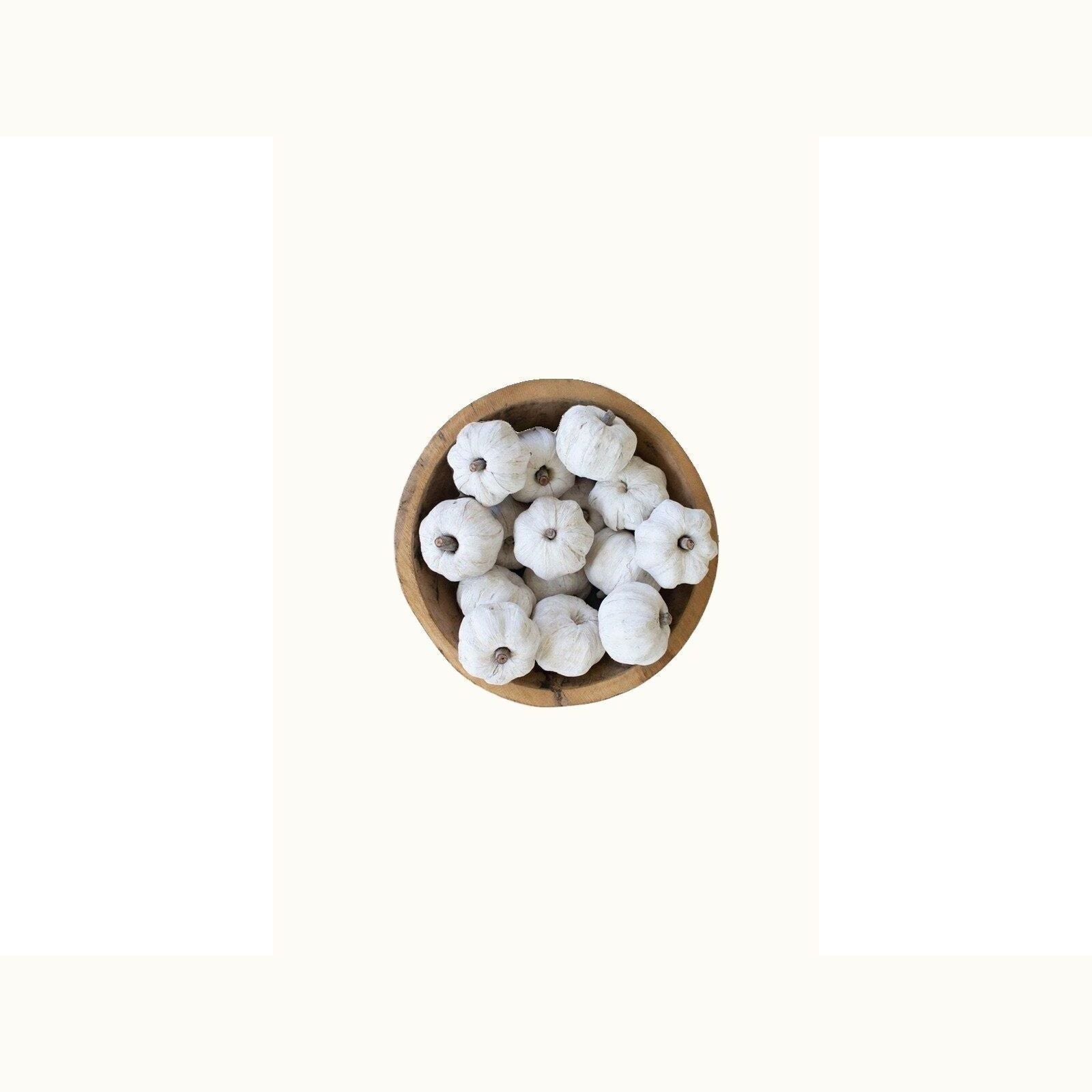 Bag of 15 White Dried Faux Pumpkins